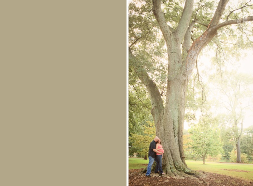Lindsay Brooke Photography Maxwell Maternity Piedmont Park Atlanta