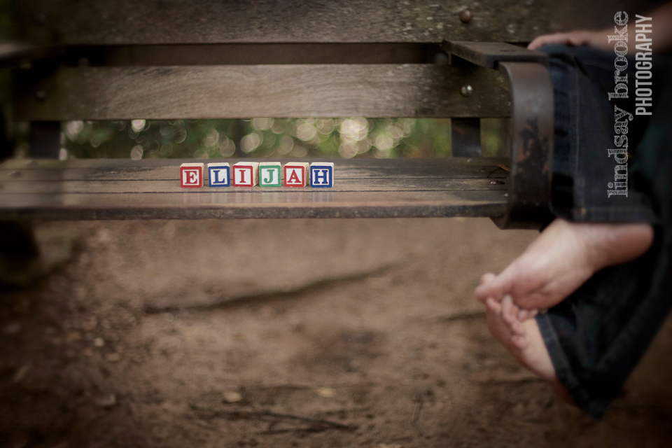 Lindsay Brooke Photography Maxwell Maternity Piedmont Park Atlanta