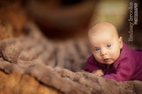 Lindsay Brooke Photography Baby in Charlotttesville at Saunders Monticello Trail