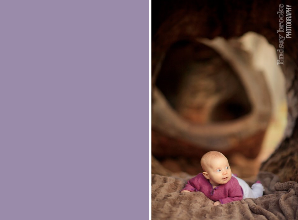 Lindsay Brooke Photography Baby in Charlotttesville at Saunders Monticello Trail