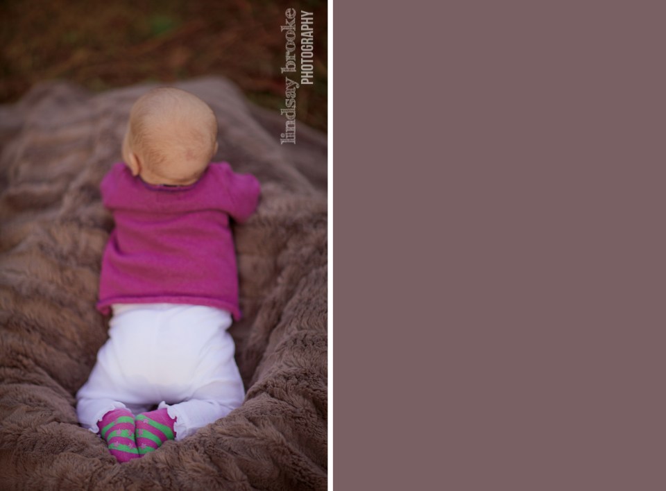 Lindsay Brooke Photography Baby in Charlotttesville at Saunders Monticello Trail