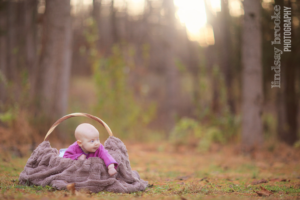 Lindsay Brooke Photography Baby in Charlotttesville at Saunders Monticello Trail
