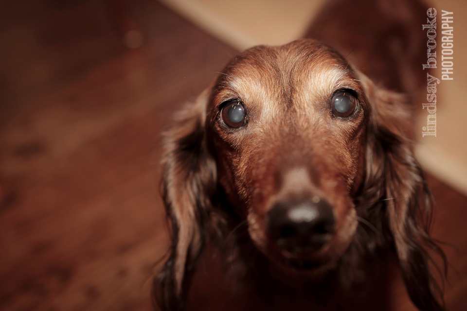 2014-03-Dean Party-Blog-41