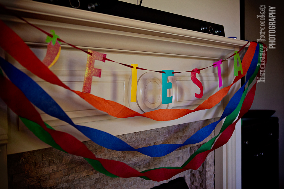 2014-05-Aiden's Birthday-Blog-1