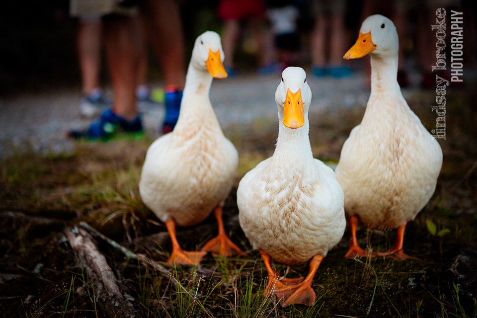 2014-06-Crow's Lake-Blog-22