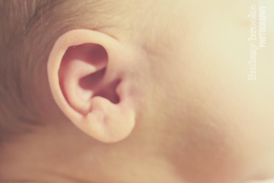 Ear