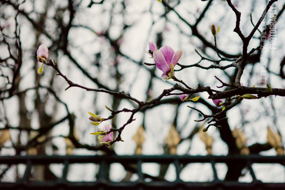 2016-03-Paris-Blog-94